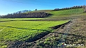 20230110_144235 - Dalla terra... il grano